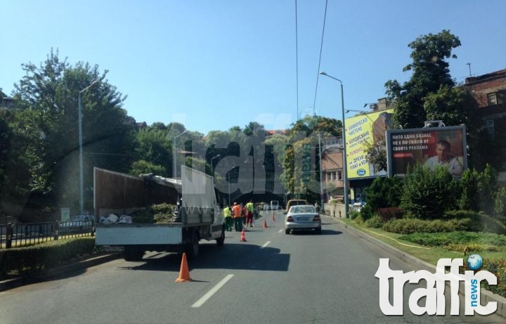 Градските озеленители скъсаха нервите на шофьорите по основни булеварди в Пловдив СНИМКИ
