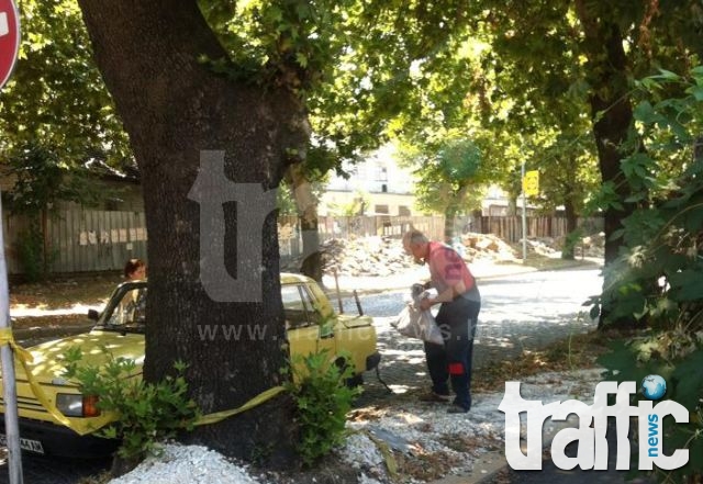 Пловдивчанин краде строителни материали за велоалеите посред бял ден СНИМКИ 