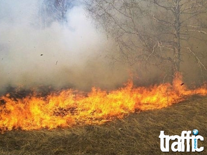 Втори пожар пламна в Хасковско