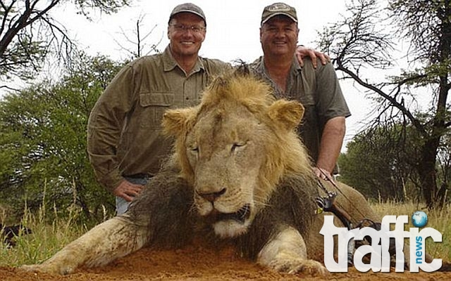 Зъболекар от САЩ уби защитен лъв
