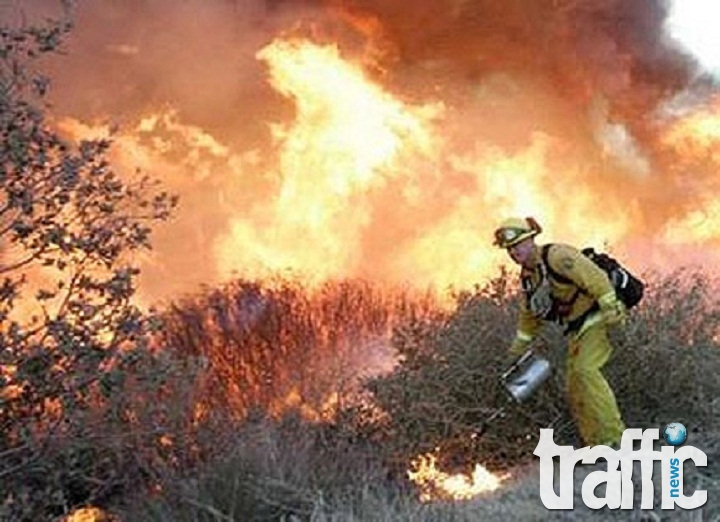 Извънредно положение в Калифорния заради пожари