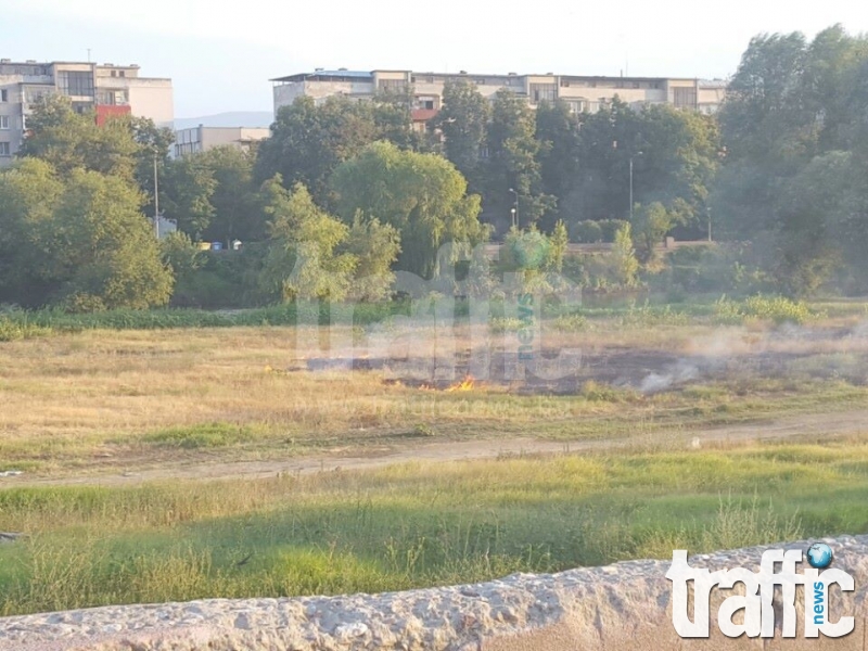 На метри от плажа: Пожар пламна в река Марица СНИМКИ