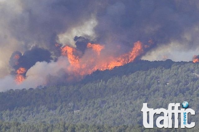 Пожар гори край Драгоман, спасители от Крумово на помощ