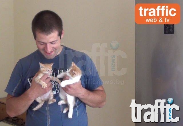 Разказ от първо лице: Защо Костадин от Кючука отглежда 48 котки ВИДЕО