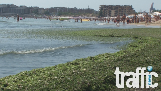 Туристи се оплакват: Мирише на фекалии на плажа в Слънчев бряг
