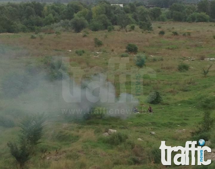 Цигани тровят пловдивчани, за да въртят бизнес СНИМКИ