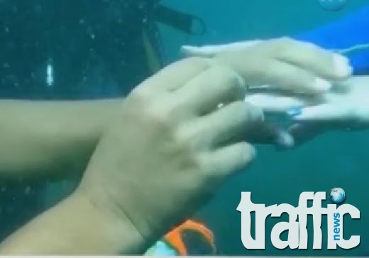 Mъж предложи брак на приятелката си под вода ВИДЕО