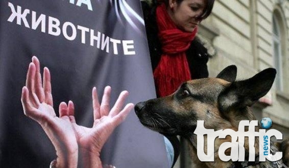 До месеци: 60 зоополицаи ще разследват престъпления срещу животните
