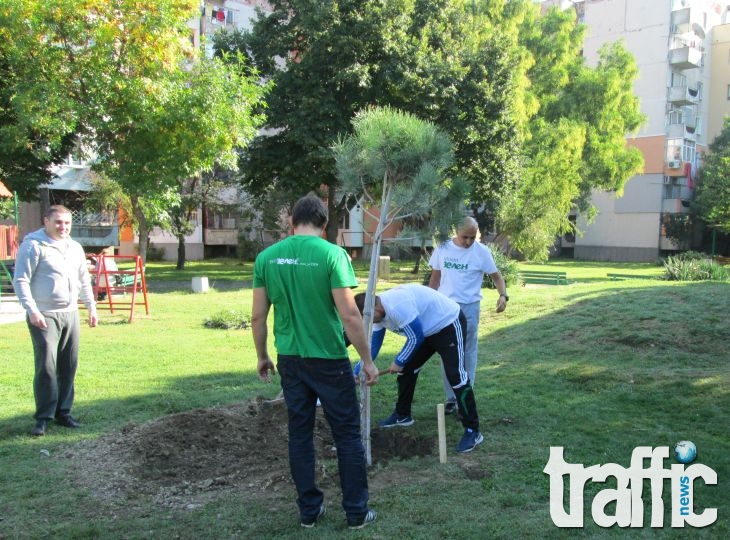 Нови дървета и храсти в Тракия