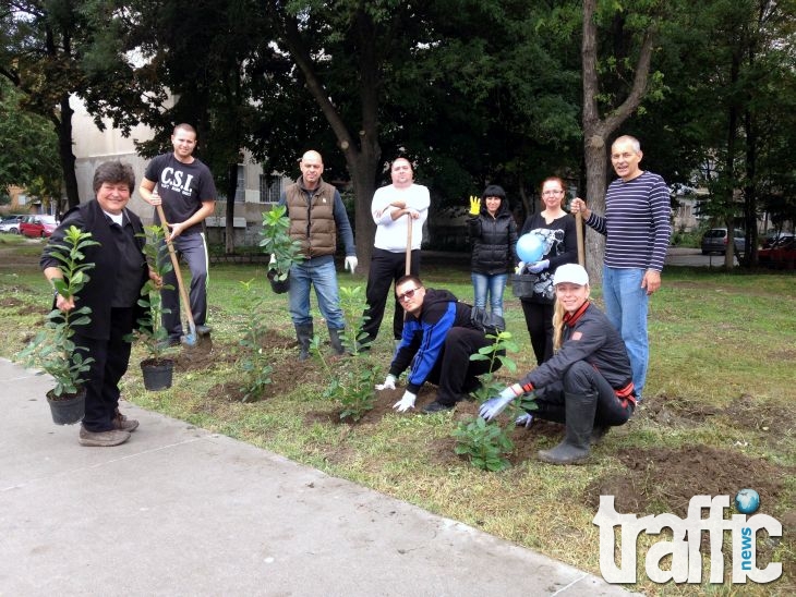 Нова градинка се появи в Тракия, залесяването продължава