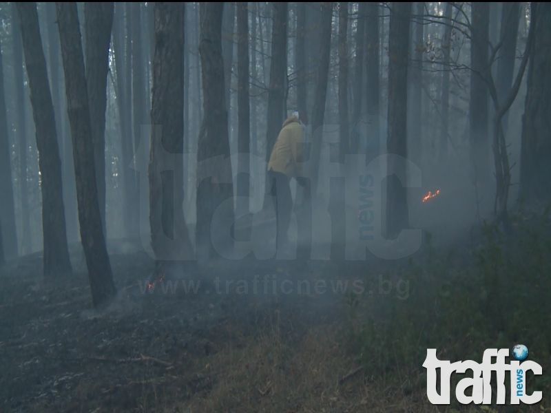 ВИДЕО от епицентъра на огнения ад в Смолян