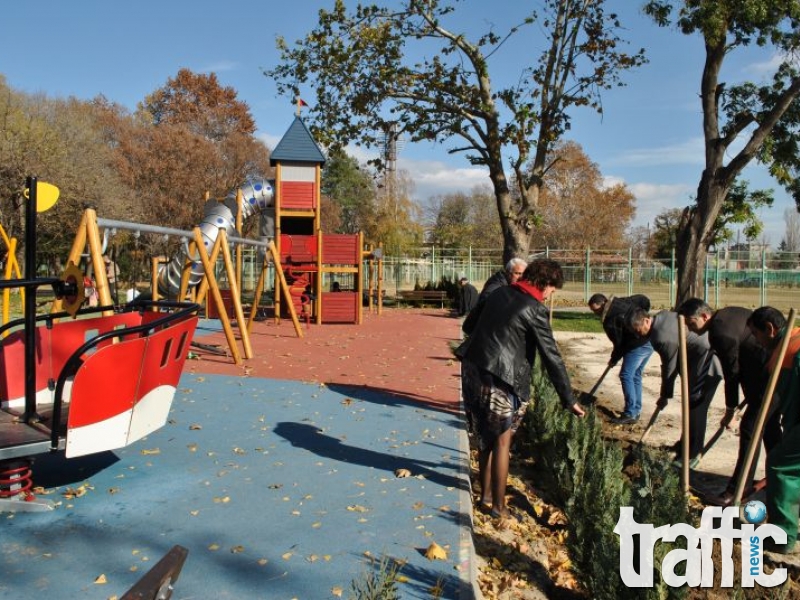 Залесиха пространството около Младежкия център на Гребната база