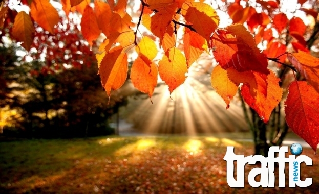 Декемврийската есен в Пловдив продължава със слънчева събота