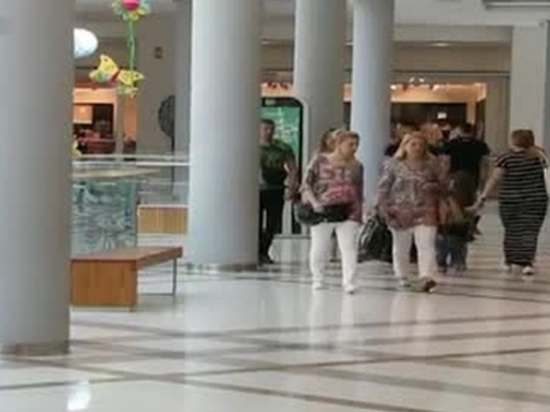 Внимание! Елитни наши джебчийки се прибраха у нас за празниците 