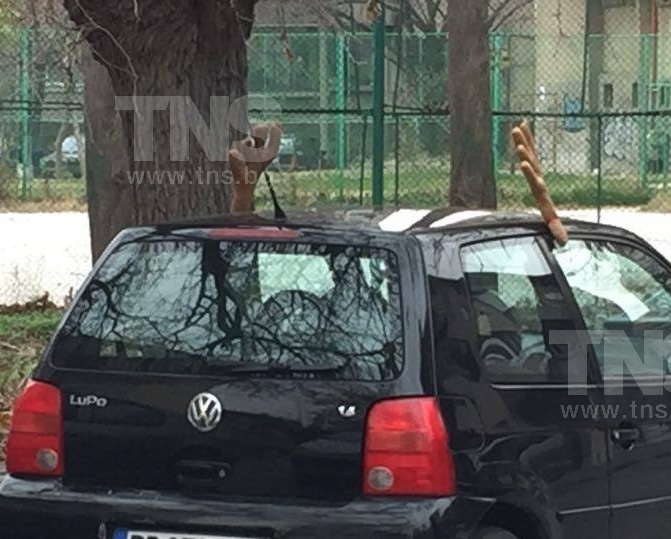 Пловдивски зевзеци превръщат колите си в коледни елени СНИМКИ