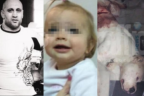 Убийството на Лудия, изоставено бебе и посечено с брадва дого белязаха 2015 г. ОБЗОР