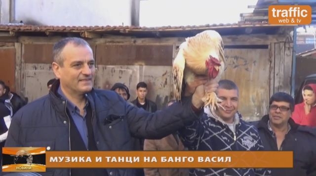Жив петел - награда в томбола за Банго Васил в Столипиново ВИДЕО