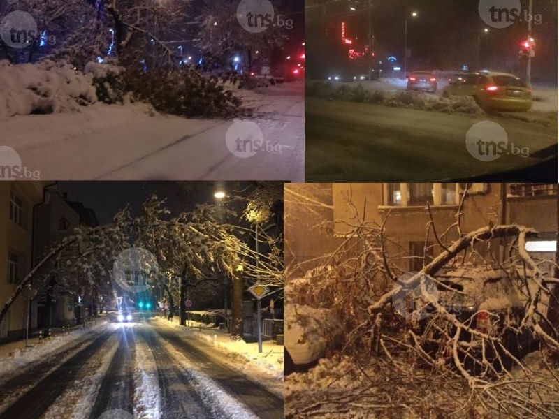 Ситуацията в Пловдив се влоши! Паднали дървета, блокирани улици и места без ток! СНИМКИ и ВИДЕО