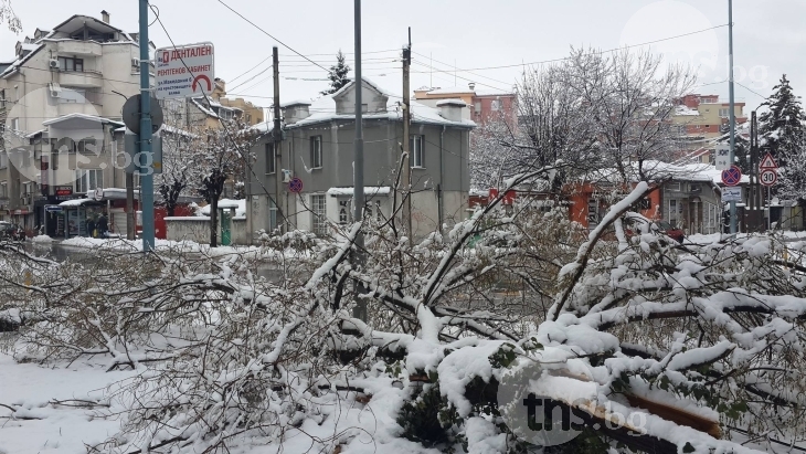 20 села в Пловдивско все още без ток