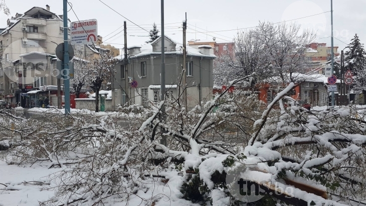 Снегът спеши решаването на съдбата на жиците на 