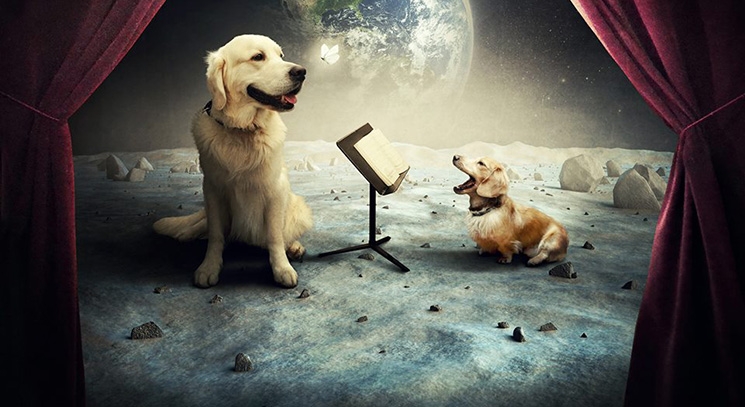 Искате ли вашето куче да стане звезда? Пловдивската опера ви предоставя този шанс