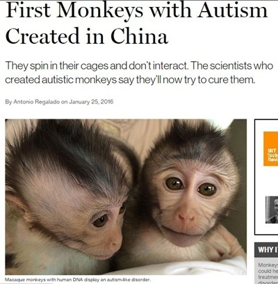Учени се борят с аутизма, предизвикаха симптоми при маймуни