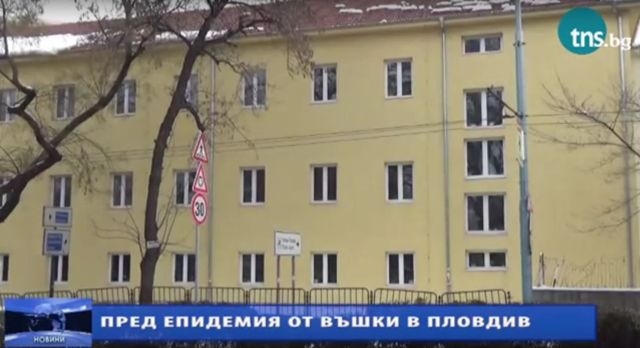 ЕМИСИЯ НОВИНИ: Пловдивски детски и учебни заведения пред епидемия от въшки!