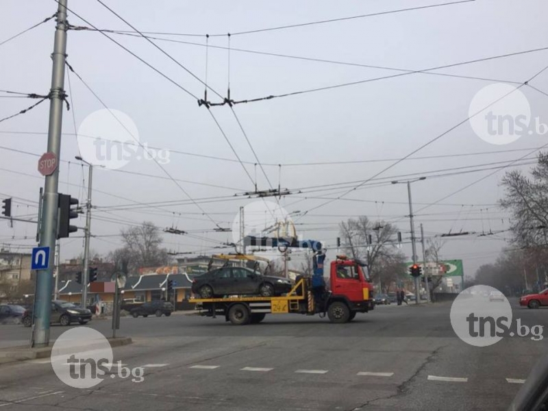Паякът лови жертви и в неделя! СНИМКИ