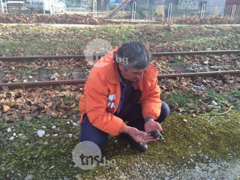 Разказът на човека, оказал първа помощ на седмокласника след екстремното селфи в Пловдив ВИДЕО