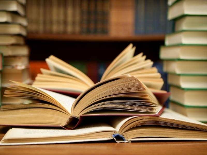 Ученици в Пловдив посочват 10-те най-четени от тях книги