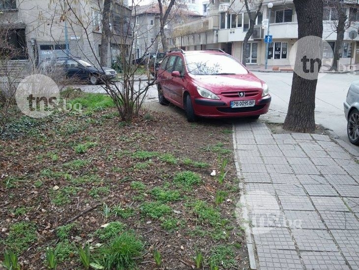 Съсед без срам паркира ето така СНИМКА