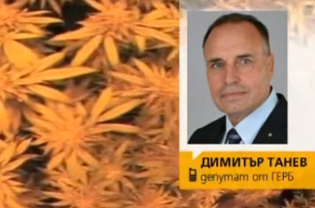 Депутатски син арестуван с марихуана, баща му го брани в ефир ВИДЕО