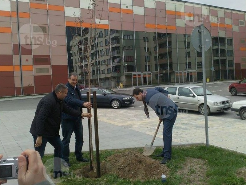 Пловдивските кметове грабнаха лопатите! Засадиха сливи СНИМКИ
