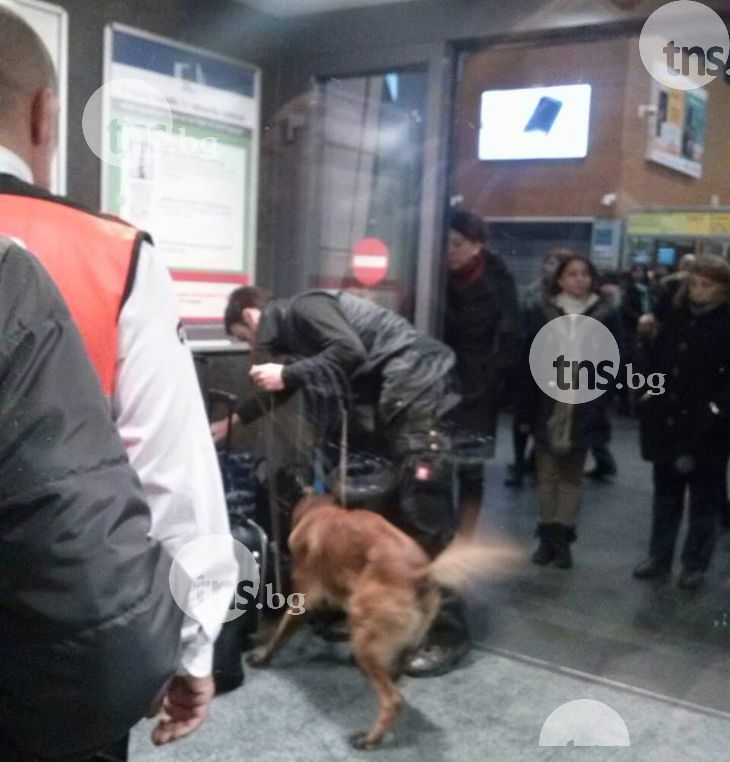 Пловдивчани в Брюксел: Кучета претърсват багажа ни, хора спят по земята, въоръжени до зъби навсякъде СНИМКИ