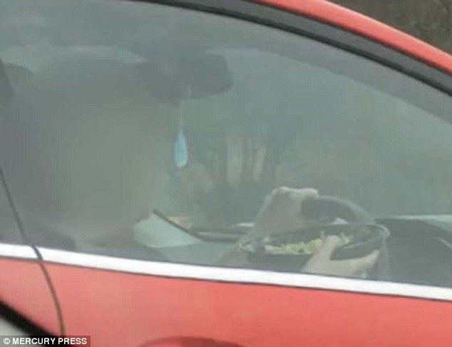 Заснеха жена, която шофира с 80 км/ч, докато си хапва макарони ВИДЕО + СНИМКИ