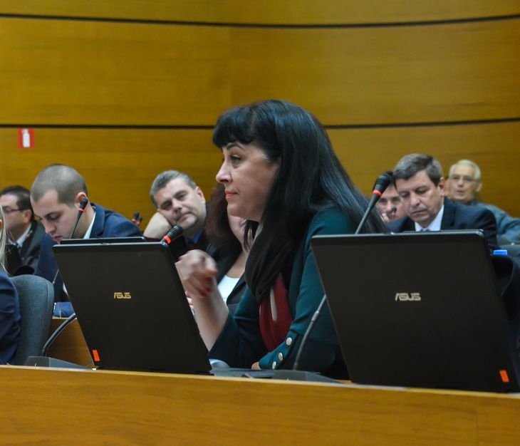 Драма в пловдивския парламент: Влиза нов съветник, вероятно ще измести лидера си