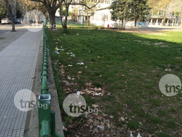 Пловдивско училище тъне в боклуци, кучета се разхождат в двора му СНИМКИ