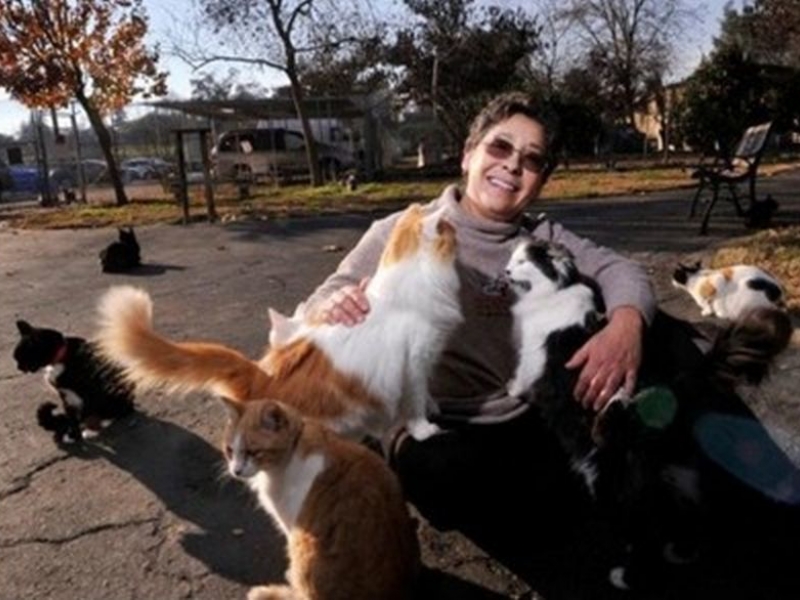 Калифорнийка превърна дома си в приют за 24 000 котки ВИДЕО 
