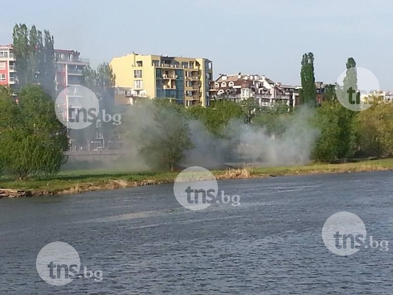 Пожар избухна в коритото на Марица СНИМКИ