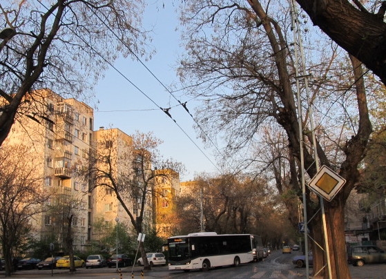 Рязане на клони затваря пътя към Данъчното в Пловдив