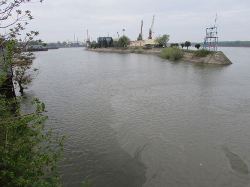 По Дунав се появиха огромни мазутни петна СНИМКИ