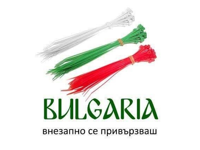 Трикольор от свински опашки: Ново лого рекламира България пред бежанците СНИМКА