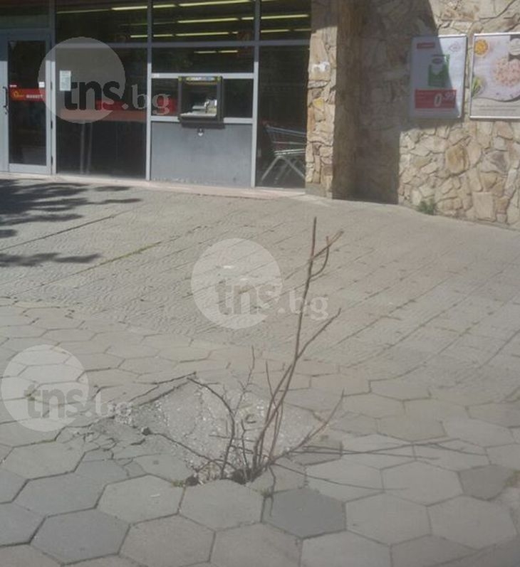 В центъра на Пловдив обезопасяват тротоарите на принципа Спаси се сам! СНИМКИ