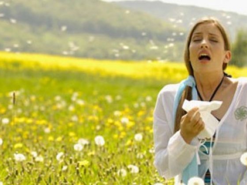 10 натурални средства срещу всякакви алергии