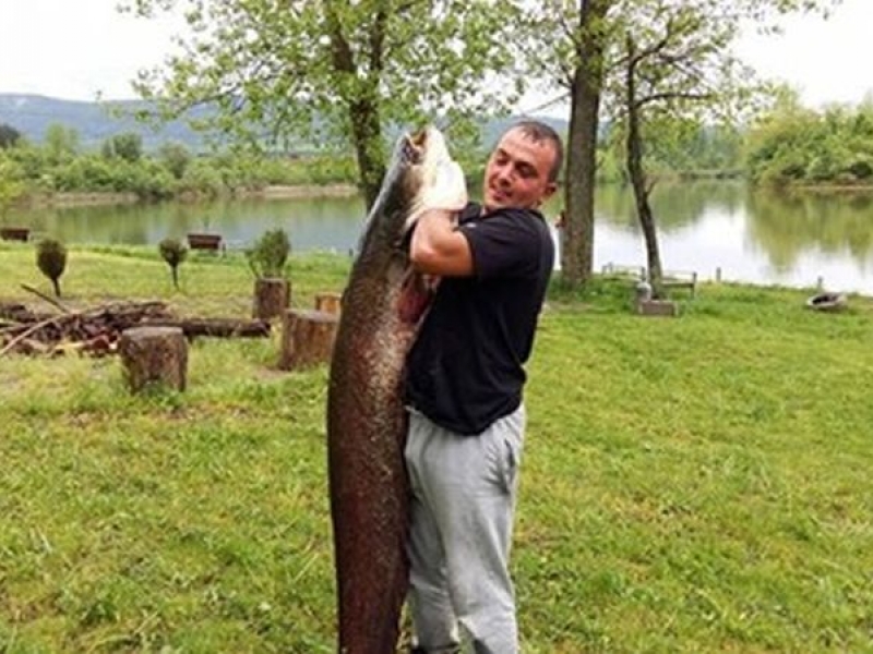 Рибар извади 33-килограмов сом от язовир
