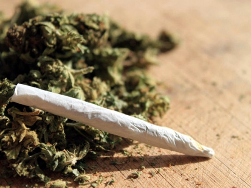 Германия легализира медицинската марихуана