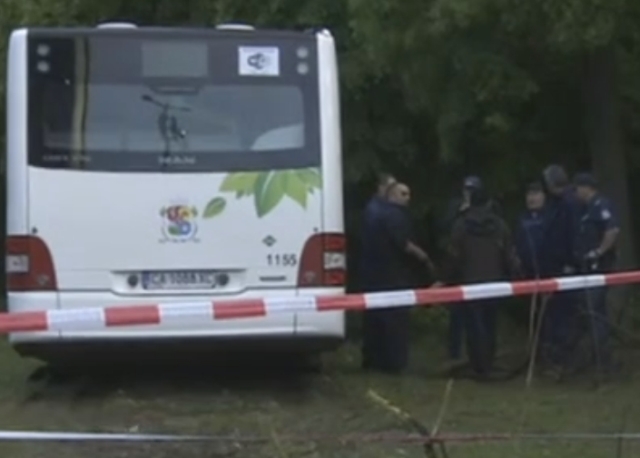 Починалият шофьор на автобус се забил в горичката, за да спаси пътниците