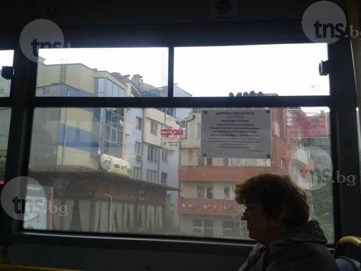 В Пловдив забраните в автобусите се спазват само от пътниците! Кондукторка ближе сладолед СНИМКИ