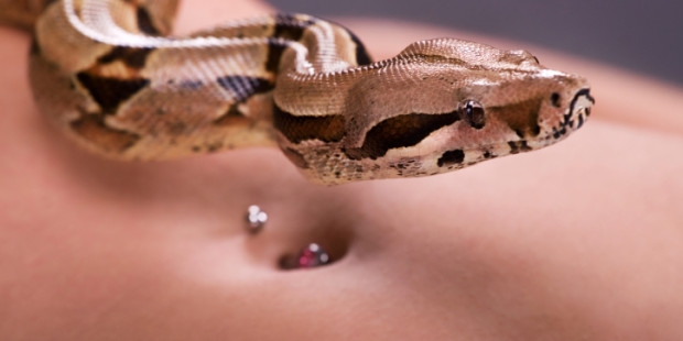 Масажират със змии малтратирани жени ВИДЕО