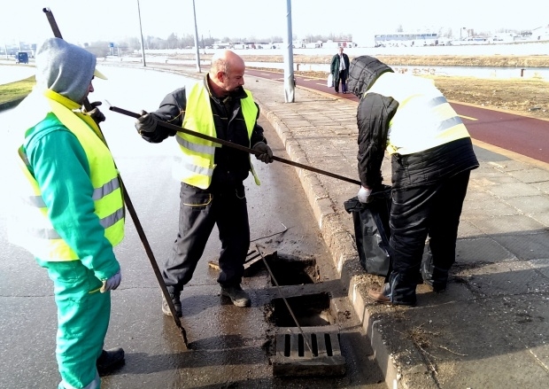 Акция срещу гризачи започва днес в Пловдив